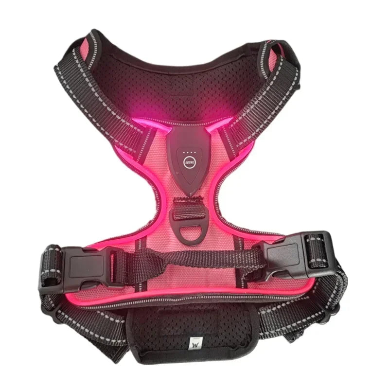 Lumos™ | Harnais LED Lumineux pour Chien - Réglable et Rechargeable (Copy) - Pattes Calines