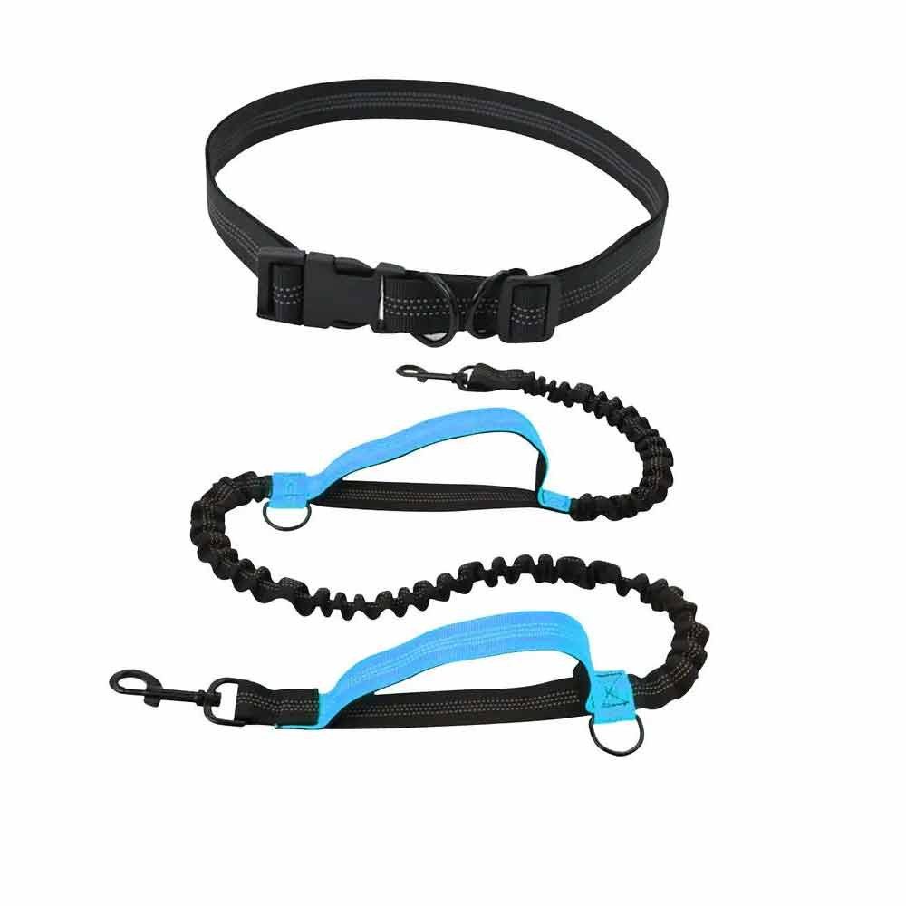 Lumo™ | Laisse de traction pour jogging canicross - Pattes Calines