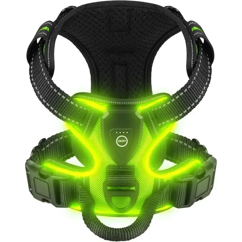 Lumos™ | Harnais LED Lumineux pour Chien - Réglable et Rechargeable (Copy) - Pattes Calines